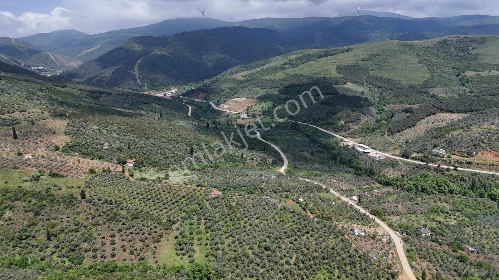 Termal Turizm Alanında İmara Yakın 26.192m2 Fırsat Zeytinlik - Görsel 10