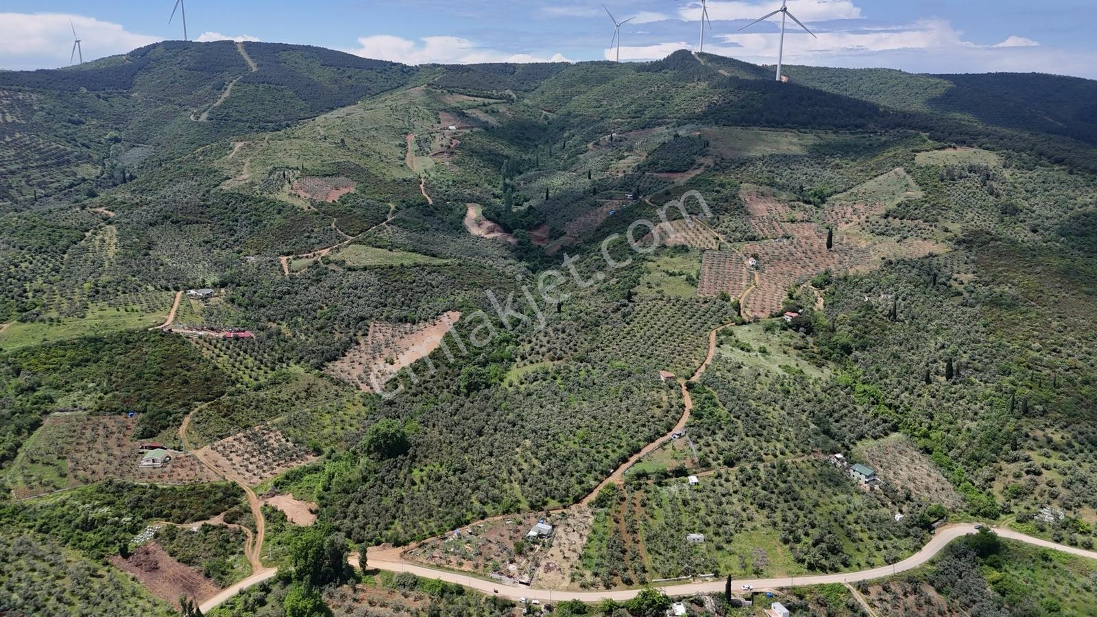 Termal Turizm Alanında İmara Yakın 26.192m2 Fırsat Zeytinlik - Görsel 20