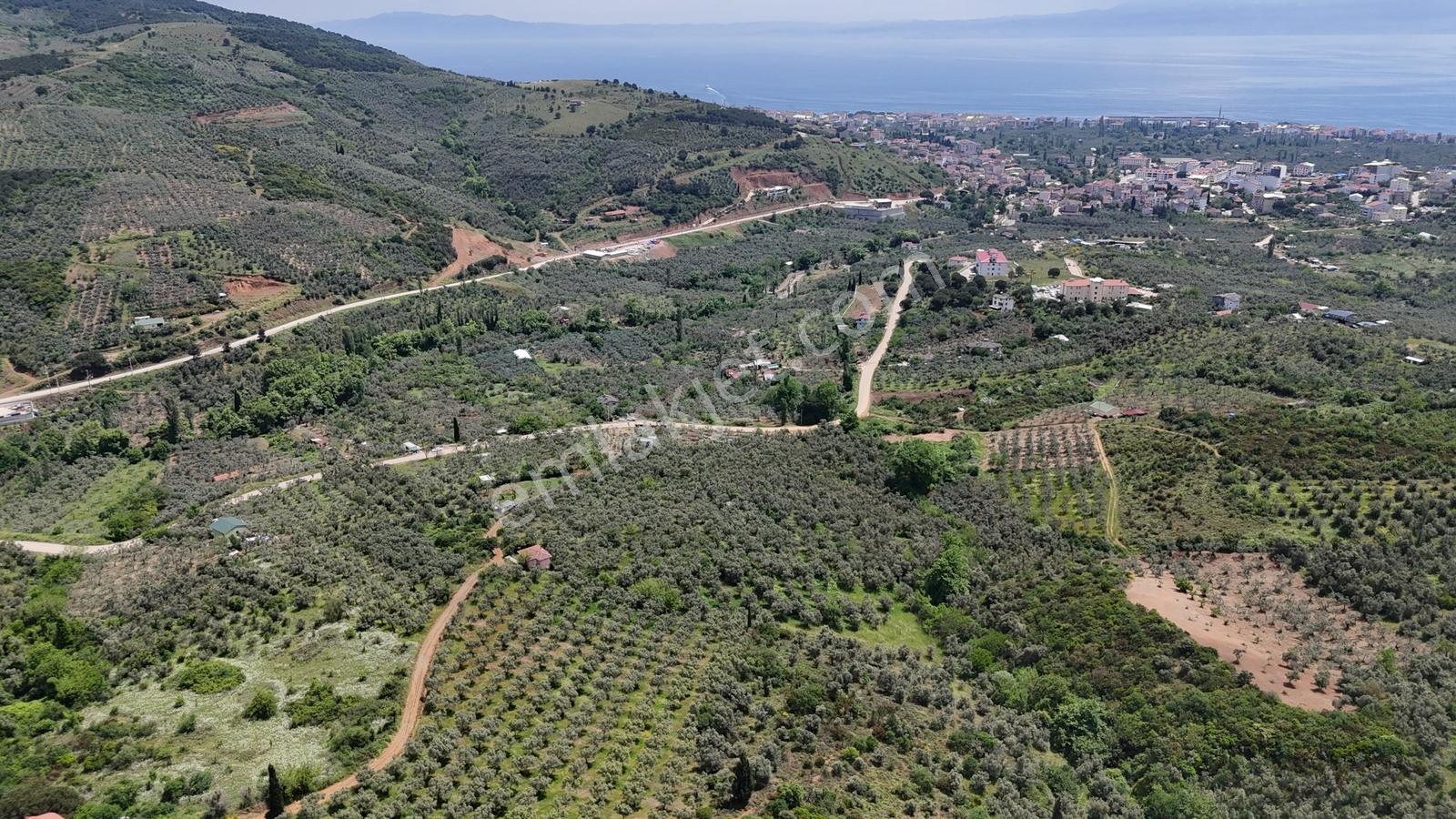 Termal Turizm Alanında İmara Yakın 26.192m2 Fırsat Zeytinlik - Görsel 21