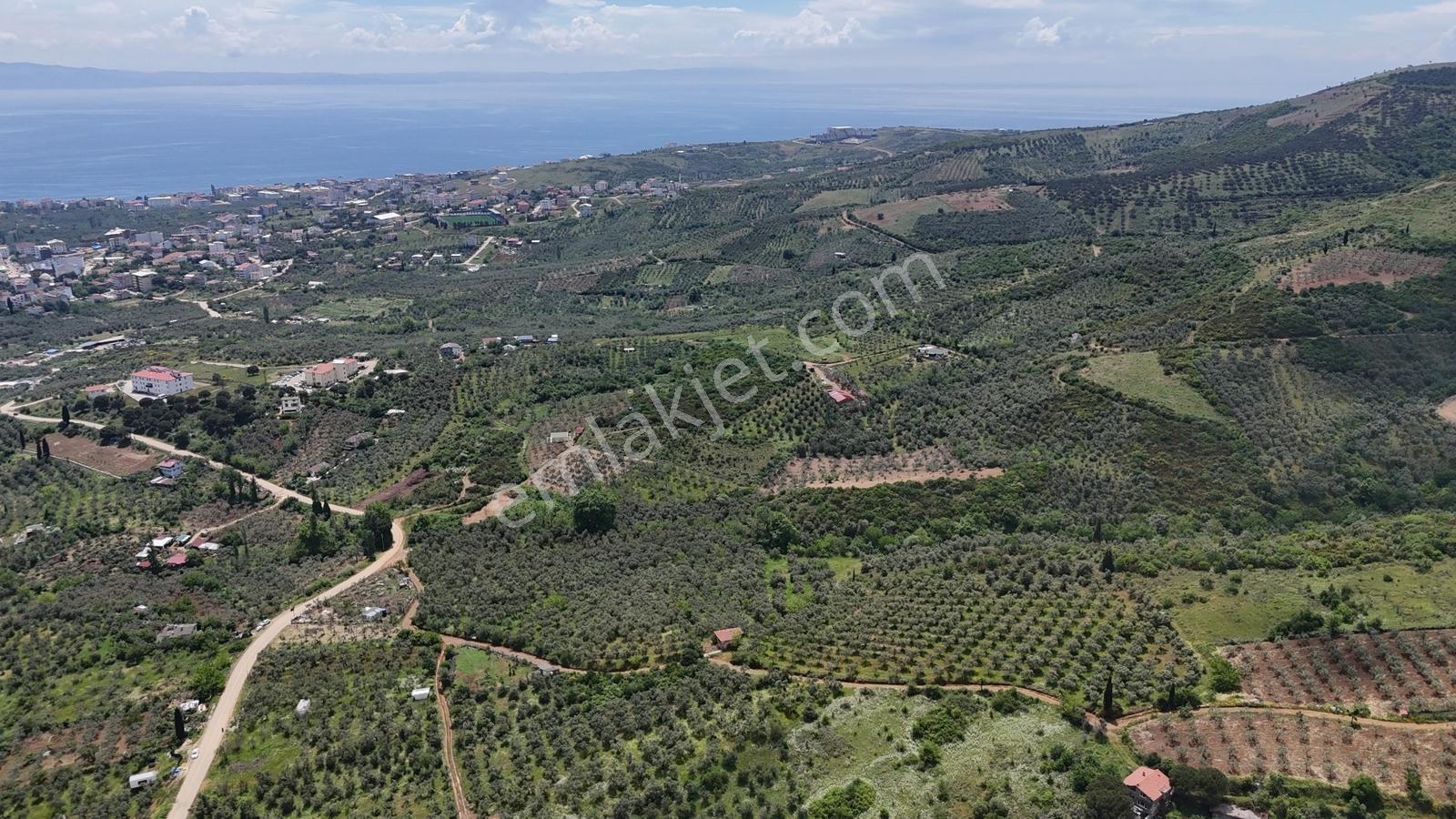 Termal Turizm Alanında İmara Yakın 26.192m2 Fırsat Zeytinlik - Görsel 25