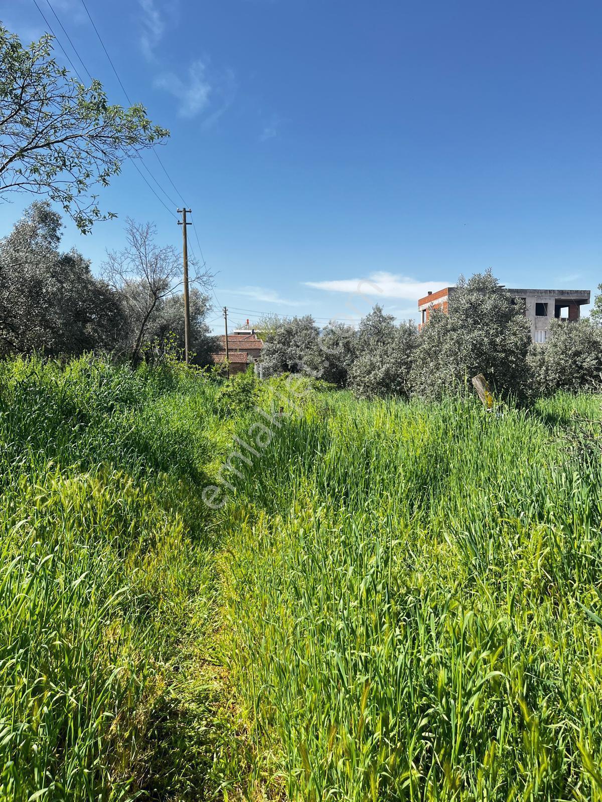 Göçmen Gayrimenkul'den Yazırlı Mah.800 M2 Satılık Arsa - Görsel 6