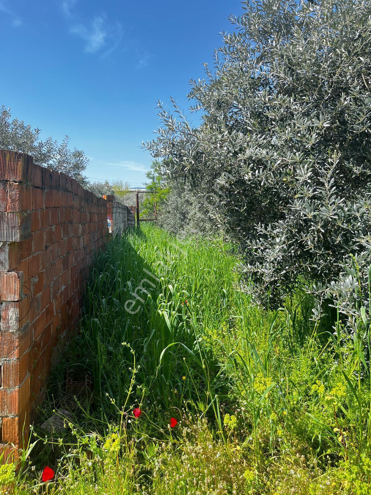 Göçmen Gayrimenkul'den Yazırlı Mah.800 M2 Satılık Arsa - Görsel 3