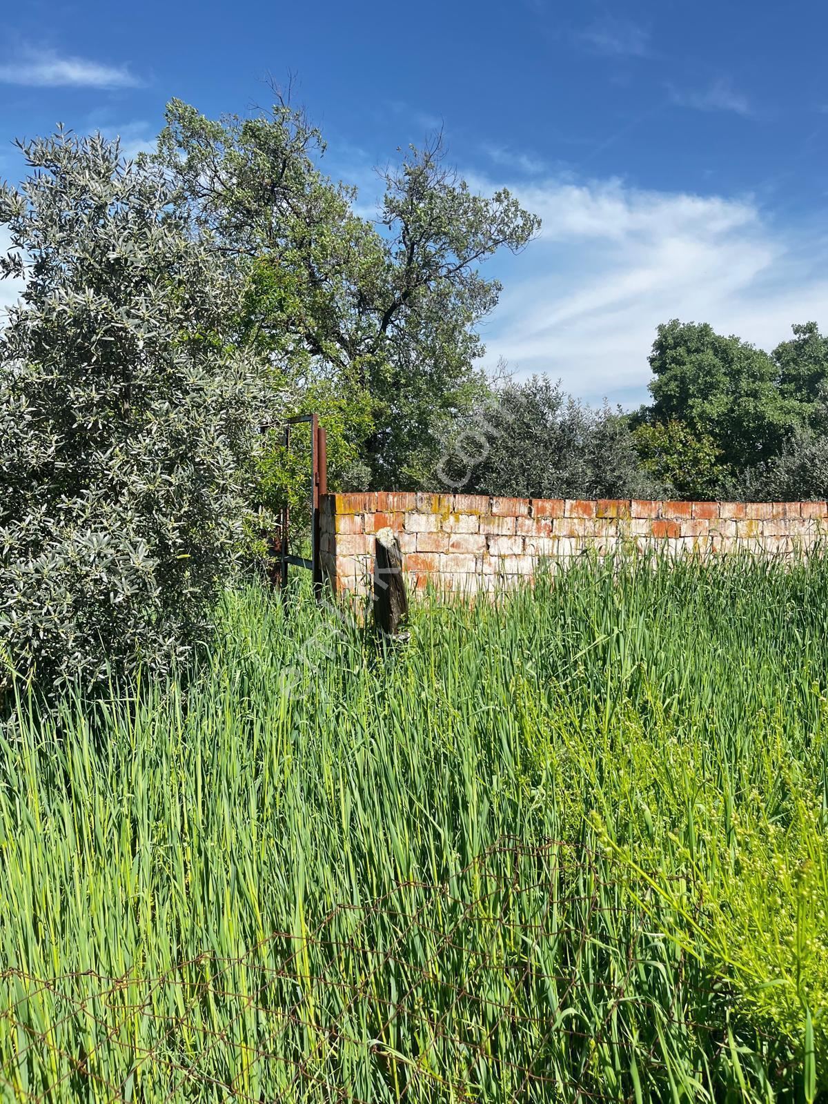Göçmen Gayrimenkul'den Yazırlı Mah.800 M2 Satılık Arsa - Görsel 7