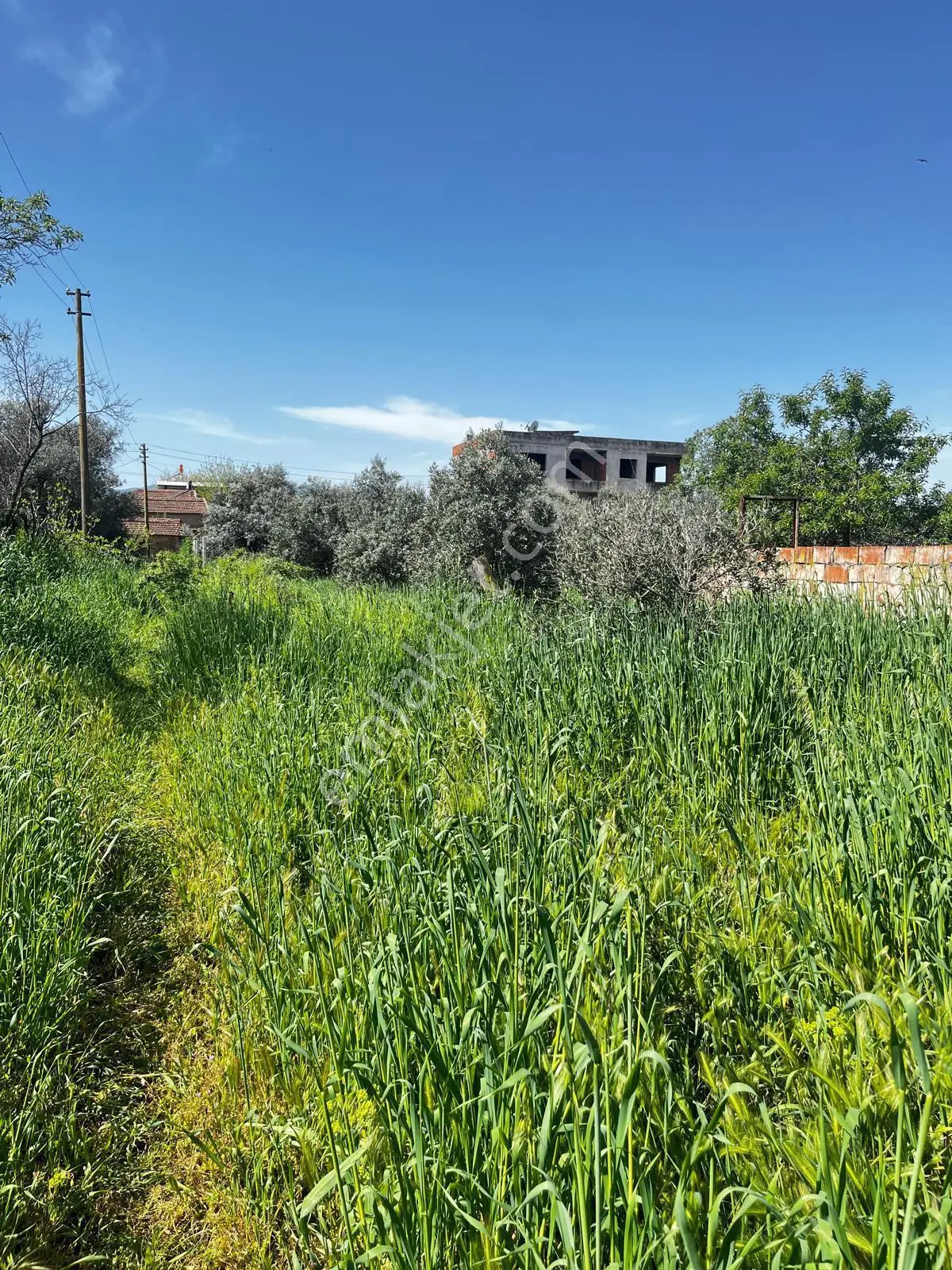 Göçmen Gayrimenkul'den Yazırlı Mah.800 M2 Satılık Arsa - Görsel 5