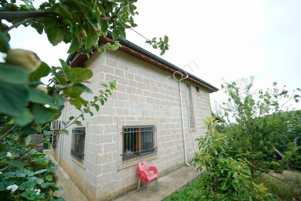 Alanya Yeşilözde Kurulu Düzen Çiftlik - Görsel 11