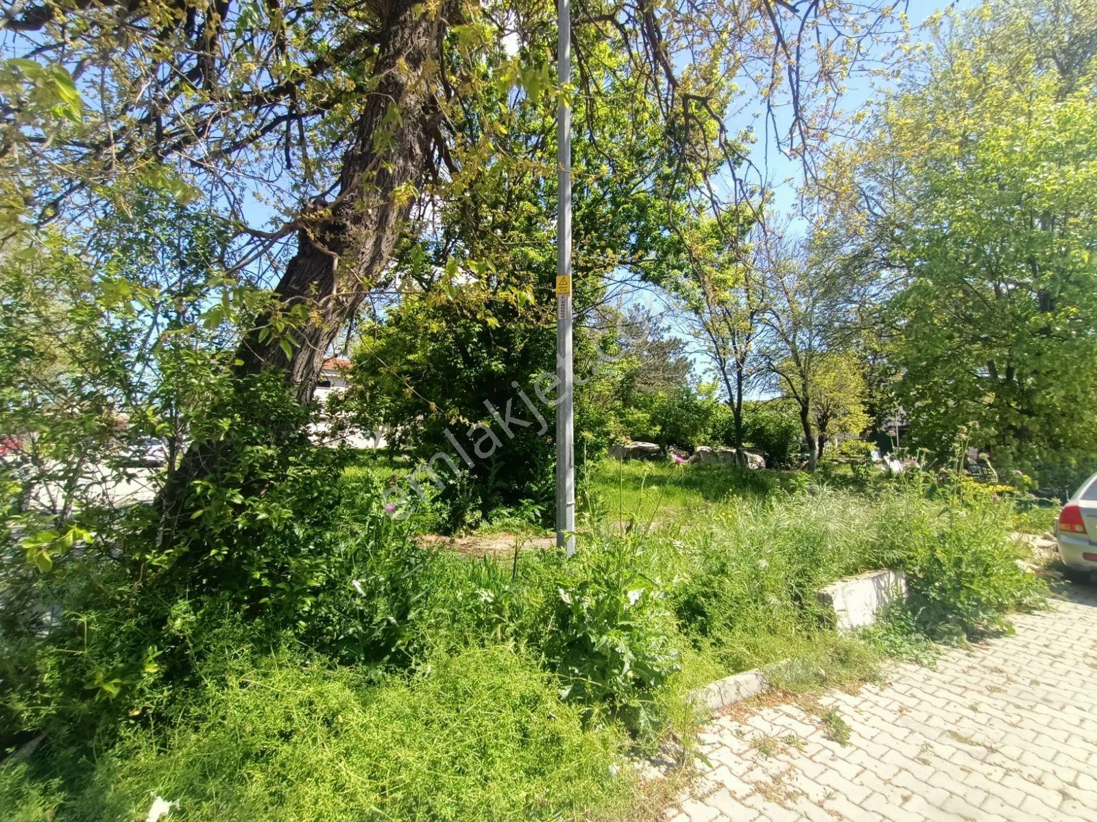 Kırklareli Babaeski Alpullu Da Ticari İmarlı Arsa - Görsel 15