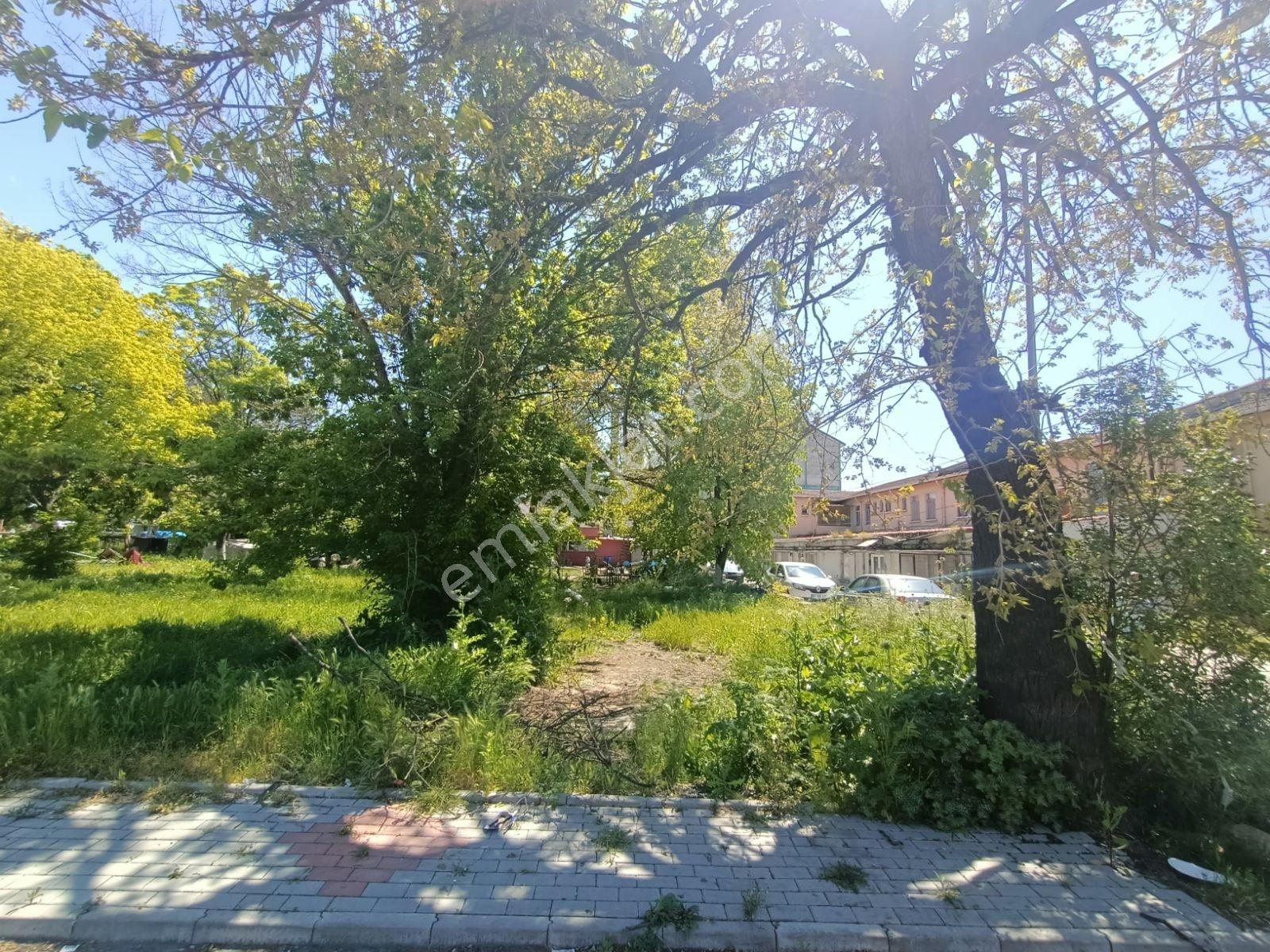 Kırklareli Babaeski Alpullu Da Ticari İmarlı Arsa - Görsel 13
