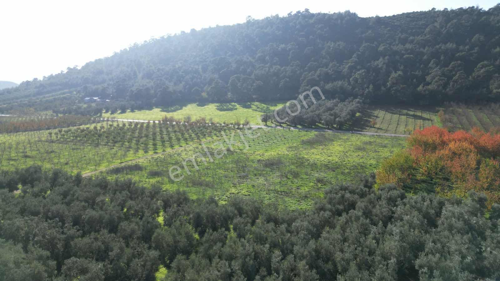 2m Yatırım'dan İznik Elbeylide Satılık Arsa - Görsel 14