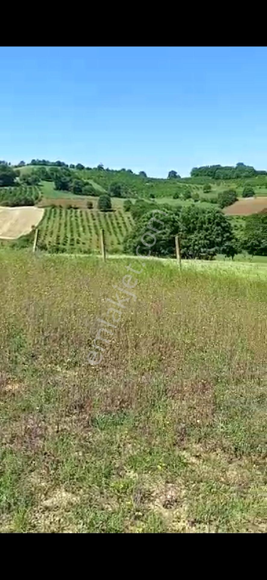 Kocaeli Kamdirada Acil Satilik Resmi Yolli Arazi - Görsel 18