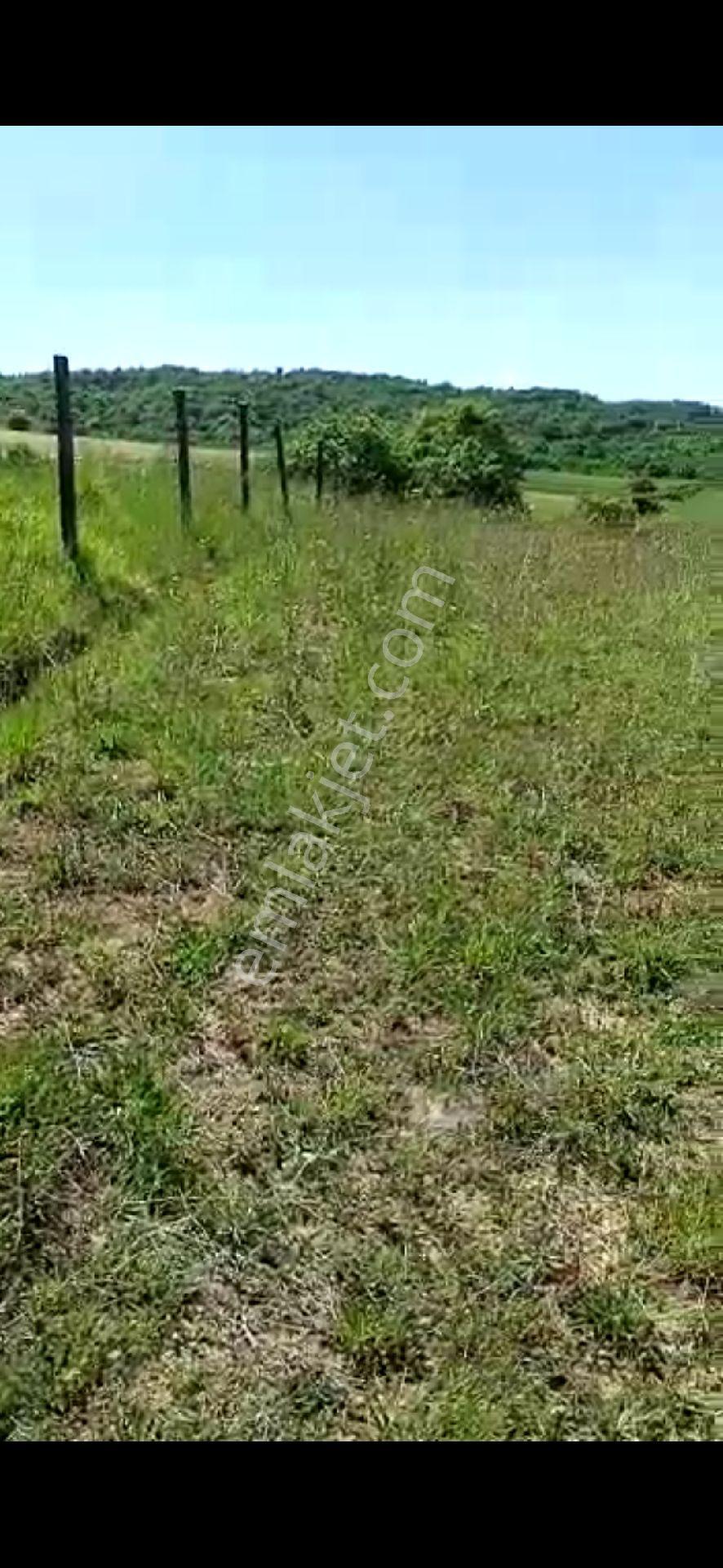 Kocaeli Kamdirada Acil Satilik Resmi Yolli Arazi - Görsel 10