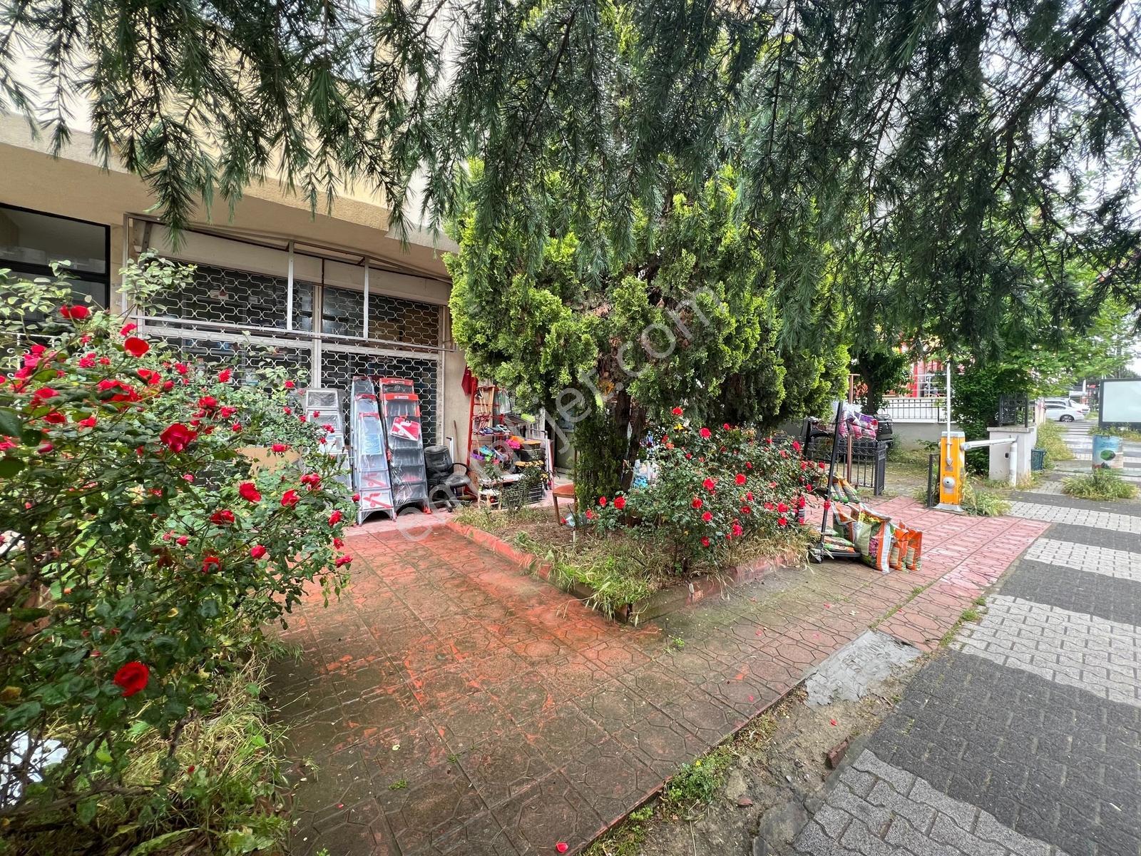 Maltepe Bağlarbaşı Satılık Geniş Dükkan - Görsel 9