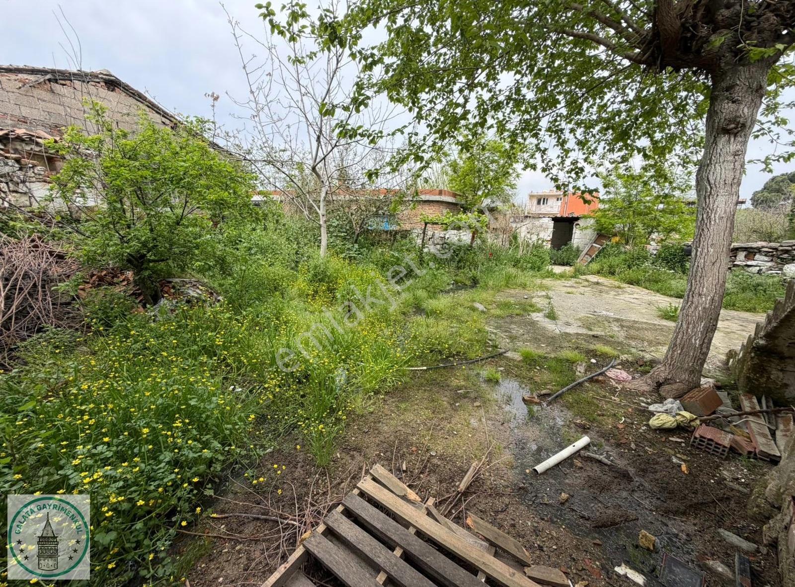 Galata,dan Söke Bağarasi Mah,de 277 M² 3+1 Müstakil Ev Ve Arsa - Görsel 16