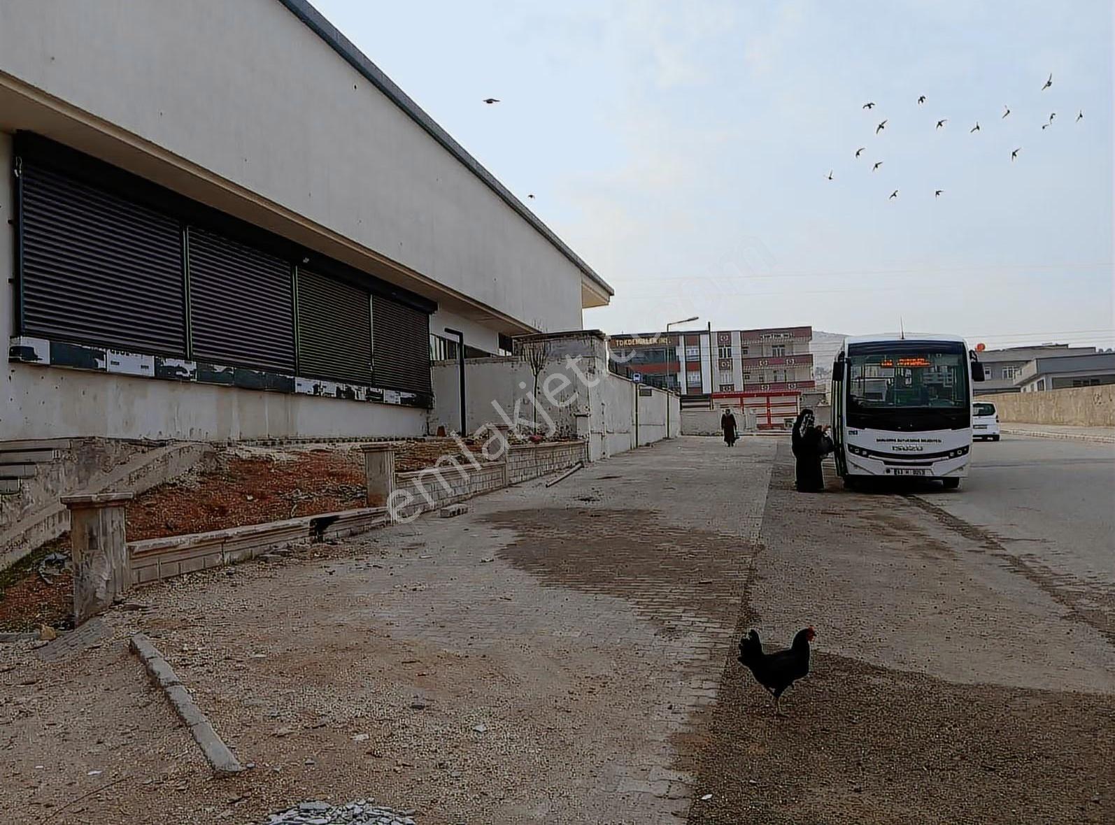 Resmi Tapu Devir-fırm Urfa Avm Yatırım Fırsatı - Görsel 6