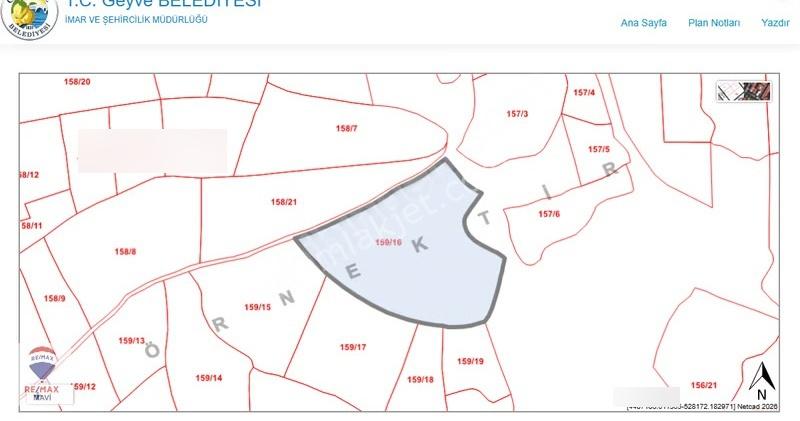 Remax Mavi Mertcan'dan İmara Yakın Satılık Zeytinlik - Görsel 3