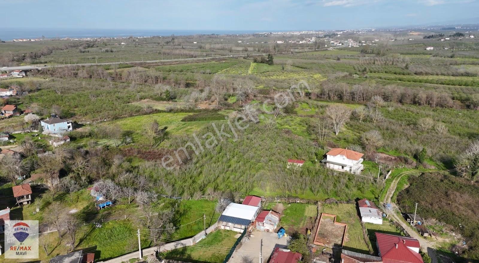 Karasu'da İmar Sınırında, Yatırımlık 2.300 M² "altın Değerinde" - Görsel 8