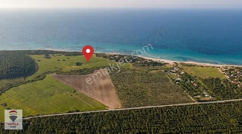 Denize 100 Metre | Eceabatda 294 M² Arsa | Hobi Bahçesi&yatırım - Görsel 2