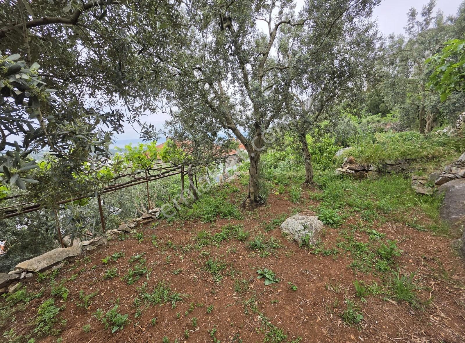 Bursa Emlak Alem-iarapzade Mah Müstakil Bahçeli 254m2 Satılık Ev - Görsel 19