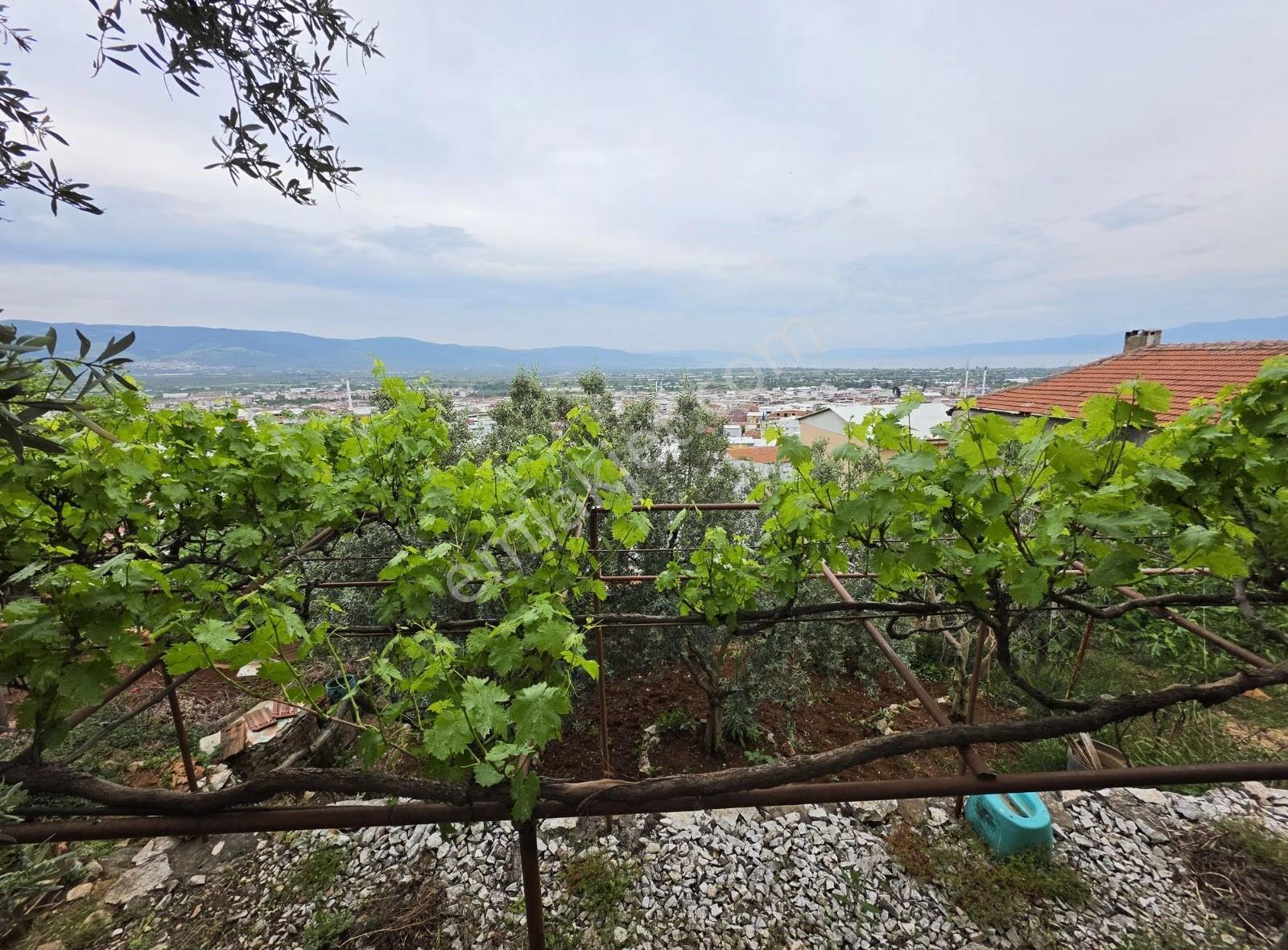 Bursa Emlak Alem-iarapzade Mah Müstakil Bahçeli 254m2 Satılık Ev - Görsel 18