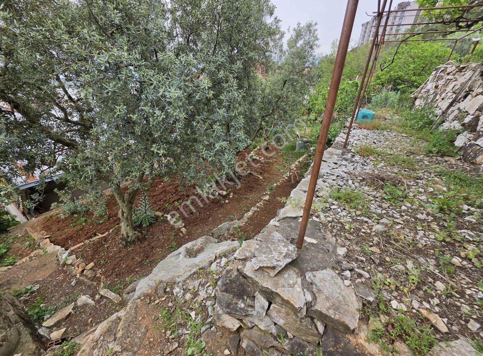 Bursa Emlak Alem-iarapzade Mah Müstakil Bahçeli 254m2 Satılık Ev - Görsel 15