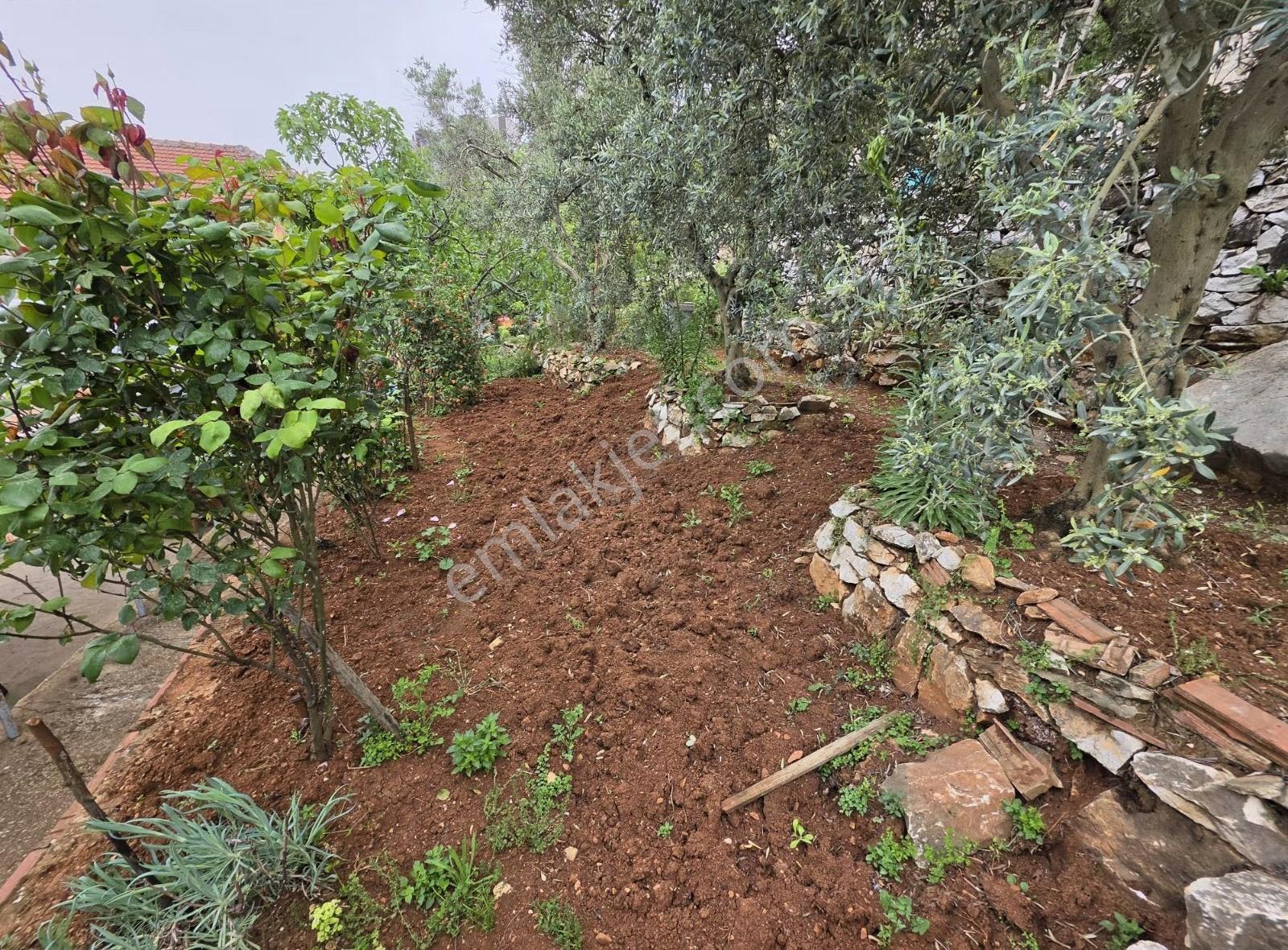 Bursa Emlak Alem-iarapzade Mah Müstakil Bahçeli 254m2 Satılık Ev - Görsel 13