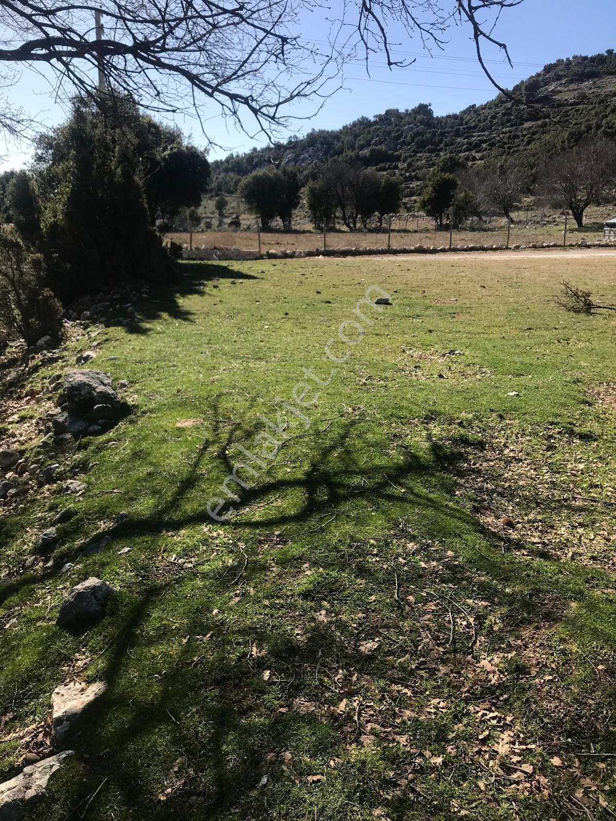 Stop’tan Karaağaçta 963m² Tarla - Görsel 4