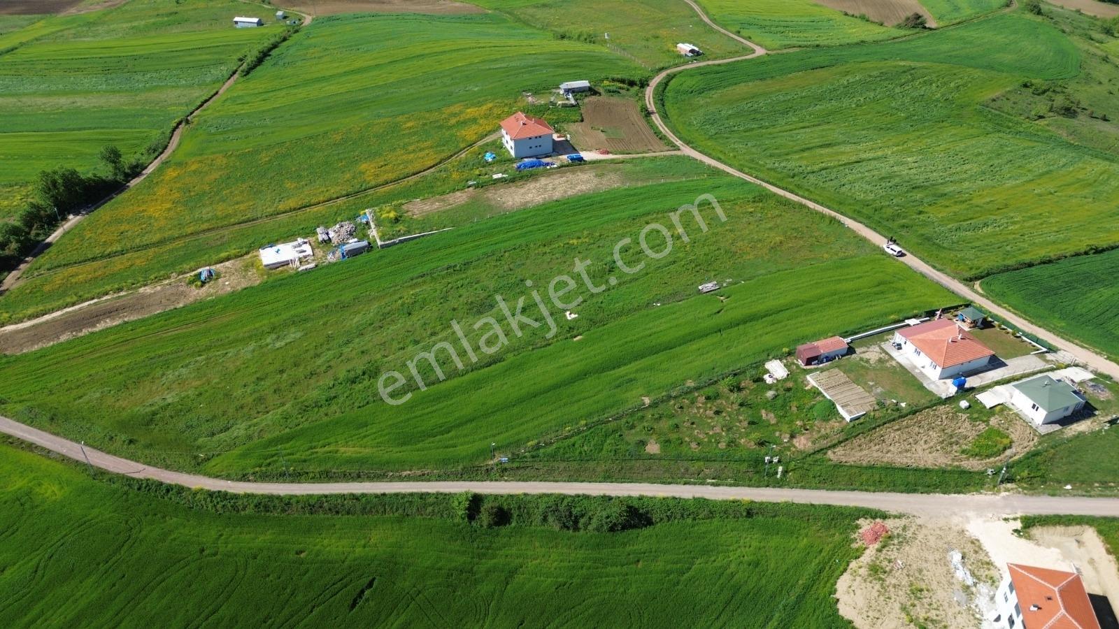 Kozanovadan Derince Çavuşluda 3404 M² %5 İmarlı Satılık Arsa - Görsel 4