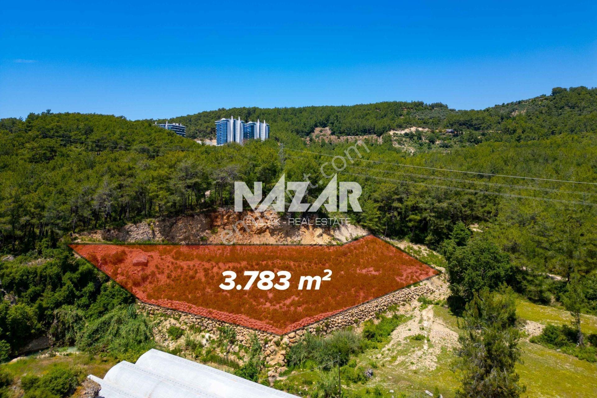 Alanya Avsallar’da Satılık 3.783 M² Bahçe / Tarla - Görsel 3