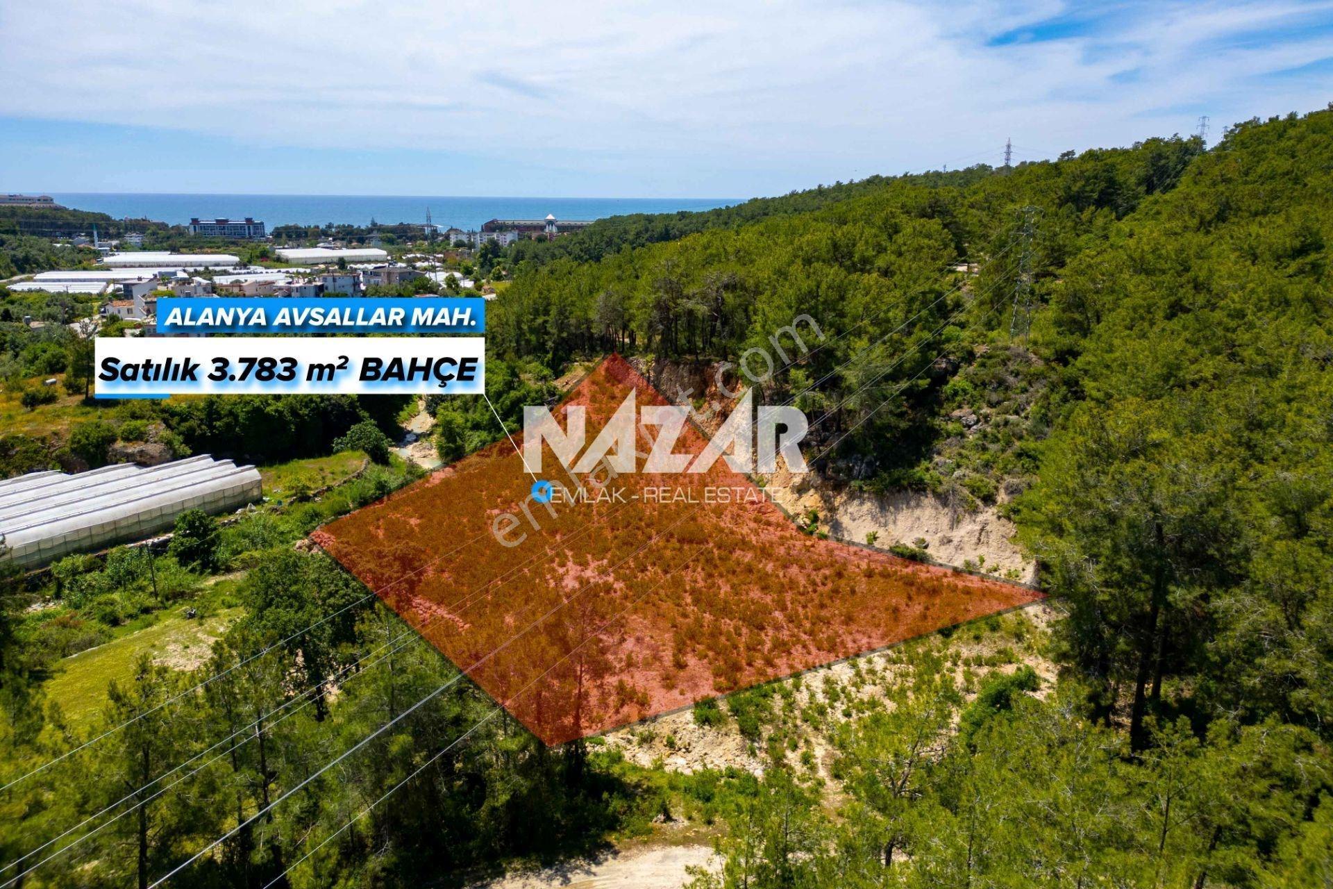 Alanya Avsallar’da Satılık 3.783 M² Bahçe / Tarla - Görsel 2