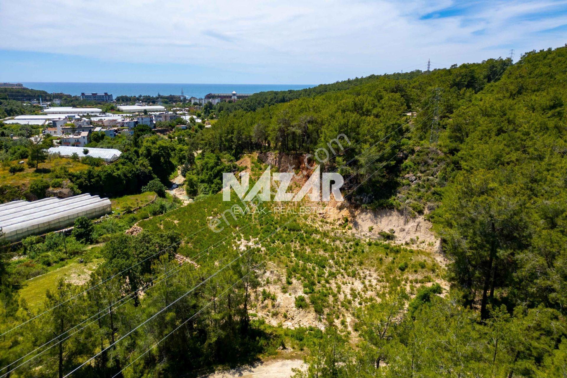 Alanya Avsallar’da Satılık 3.783 M² Bahçe / Tarla