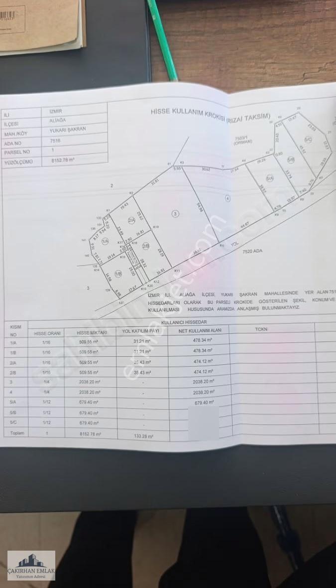 Yenişakran Merkezde Deniz Manzaralı Yola Cepheli Zeytinlik - Görsel 7