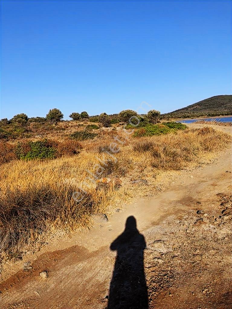 Cunda Satılık Arsa Yatırımcıya Denize Sıfır Parselde 1803m2 - Görsel 17
