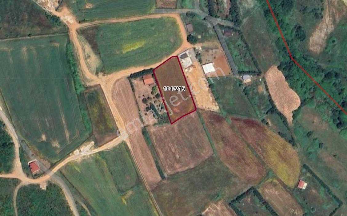 Çatalca Oklalıda Kullanışlı Konumda Satılık Bağ Yeri