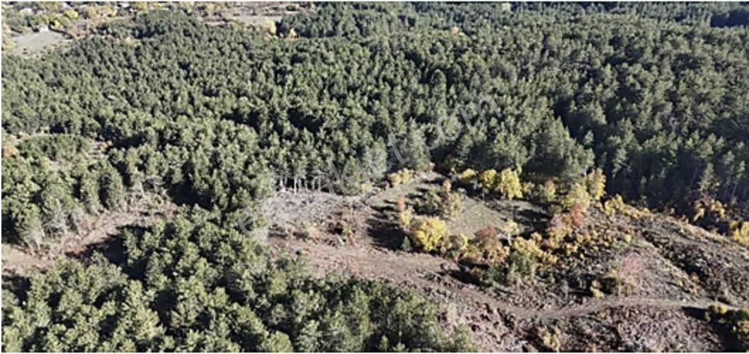 Hem Ana Artere Yakın, Hem De Resmi Yolu Var, Hendeğin En Uygunu