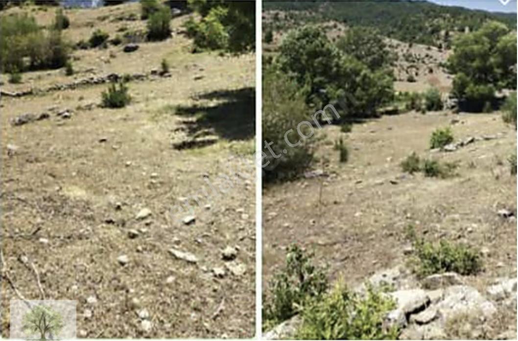 Hem Ana Artere Yakın, Hem De Resmi Yolu Var, Hendeğin En Uygunu - Görsel 5
