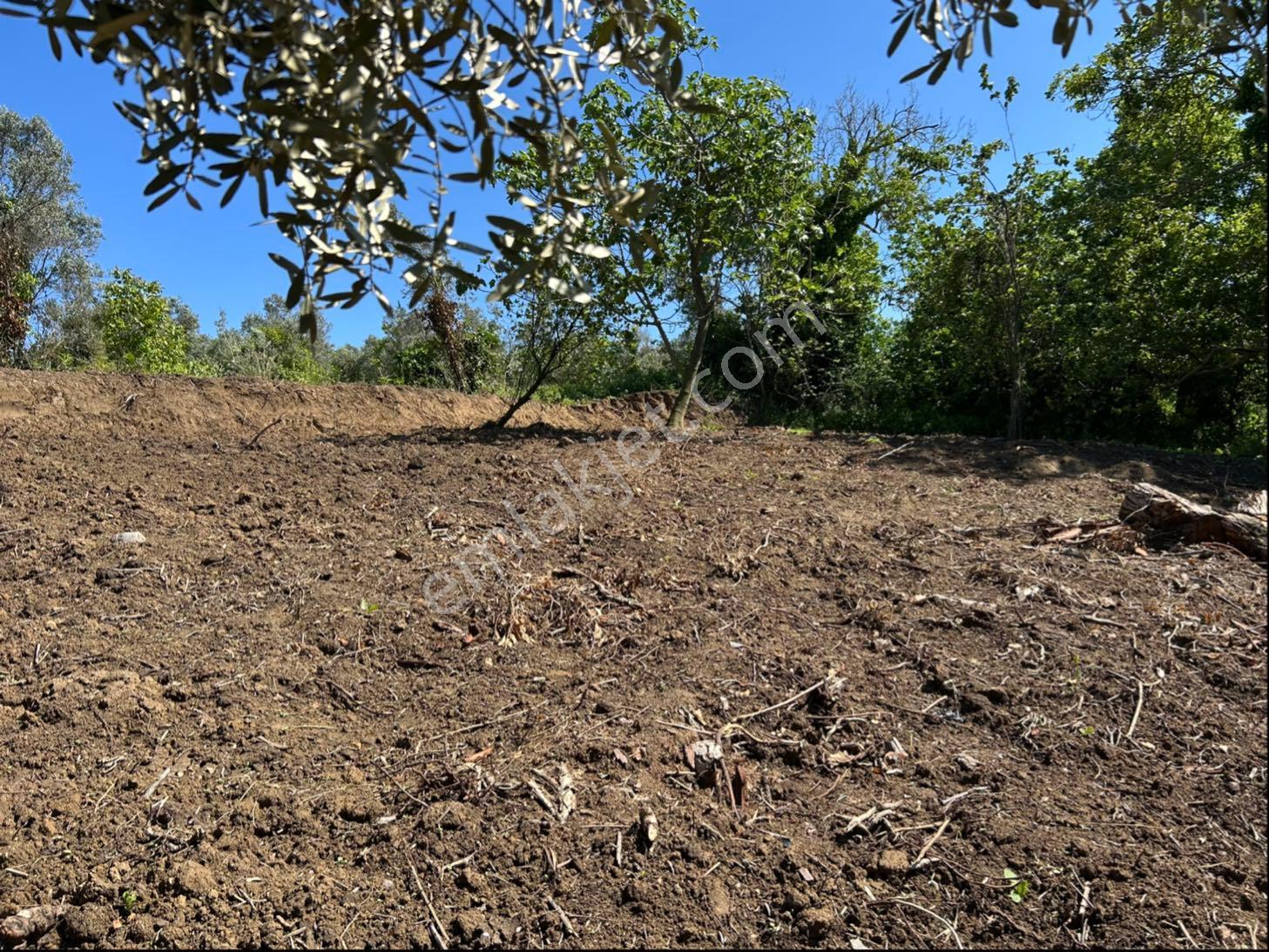Sahibinden Köyiçi İmarlı Ful Deniz Manzaralı Mükemmel Arsa - Görsel 7