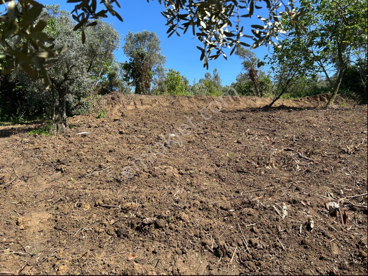 Sahibinden Köyiçi İmarlı Ful Deniz Manzaralı Mükemmel Arsa - Görsel 11