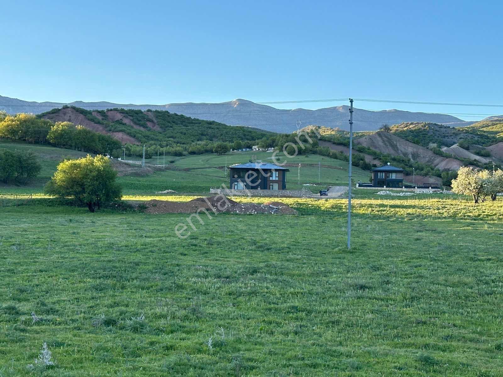 Tunceli Merkez İsmet İnönü Tek Tapu Arsalar - Görsel 4