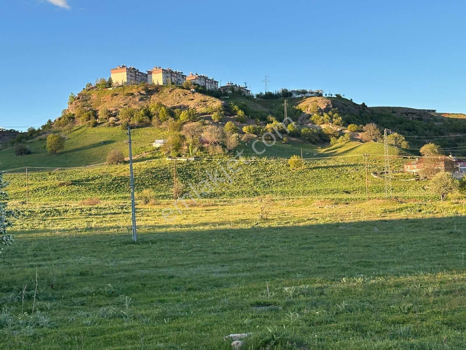 Tunceli Merkez Pülümür Yoluna Cephe Hisseli Arsa - Görsel 5