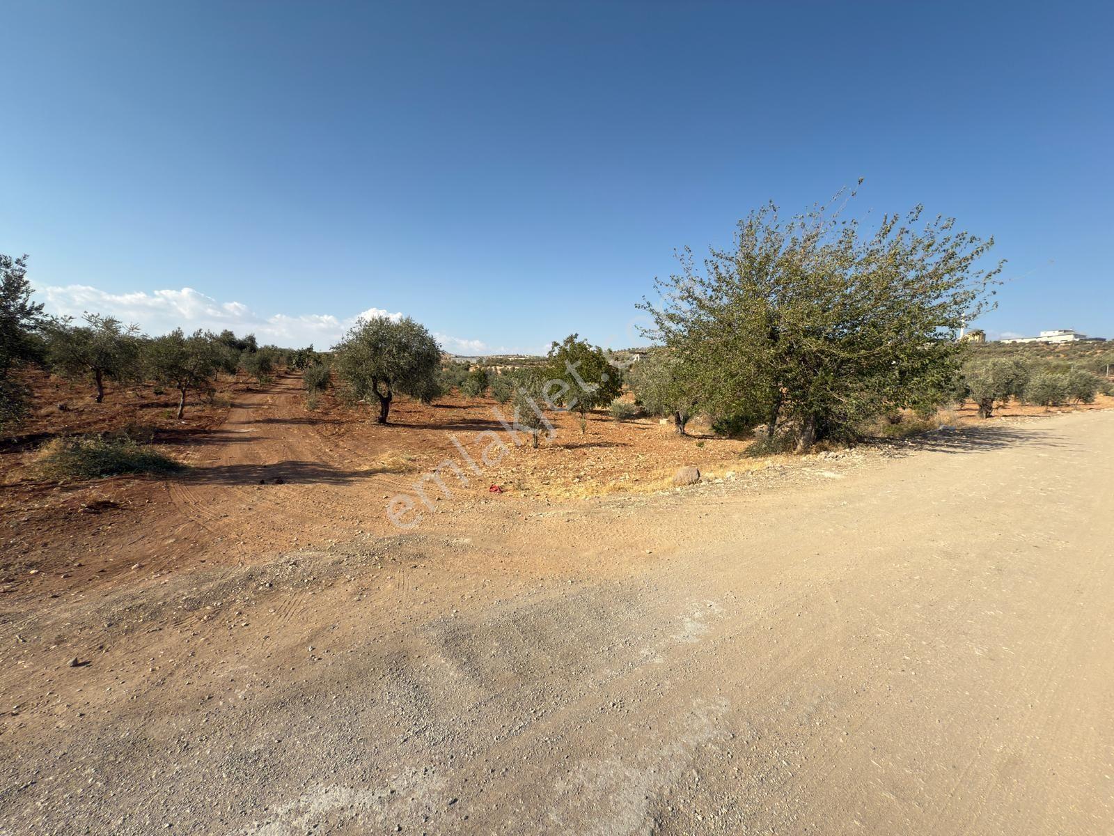 Uyaran 79 Gayrimenkul Den Öncüpınar Tapulu 2 Parça 10800 M2 - Görsel 4