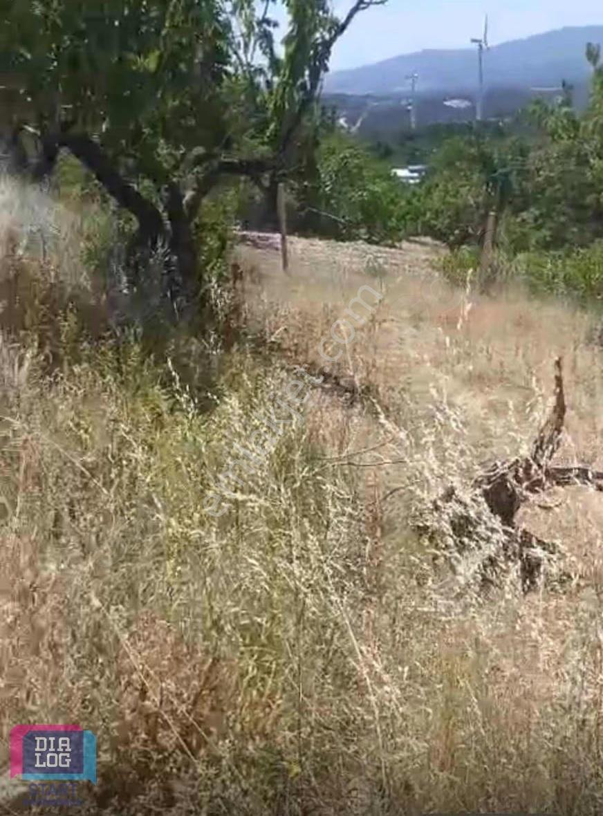 Damlacıkta Yol Cepheli Kooperatif Tapulu Yatırımlık Arazi - Görsel 2