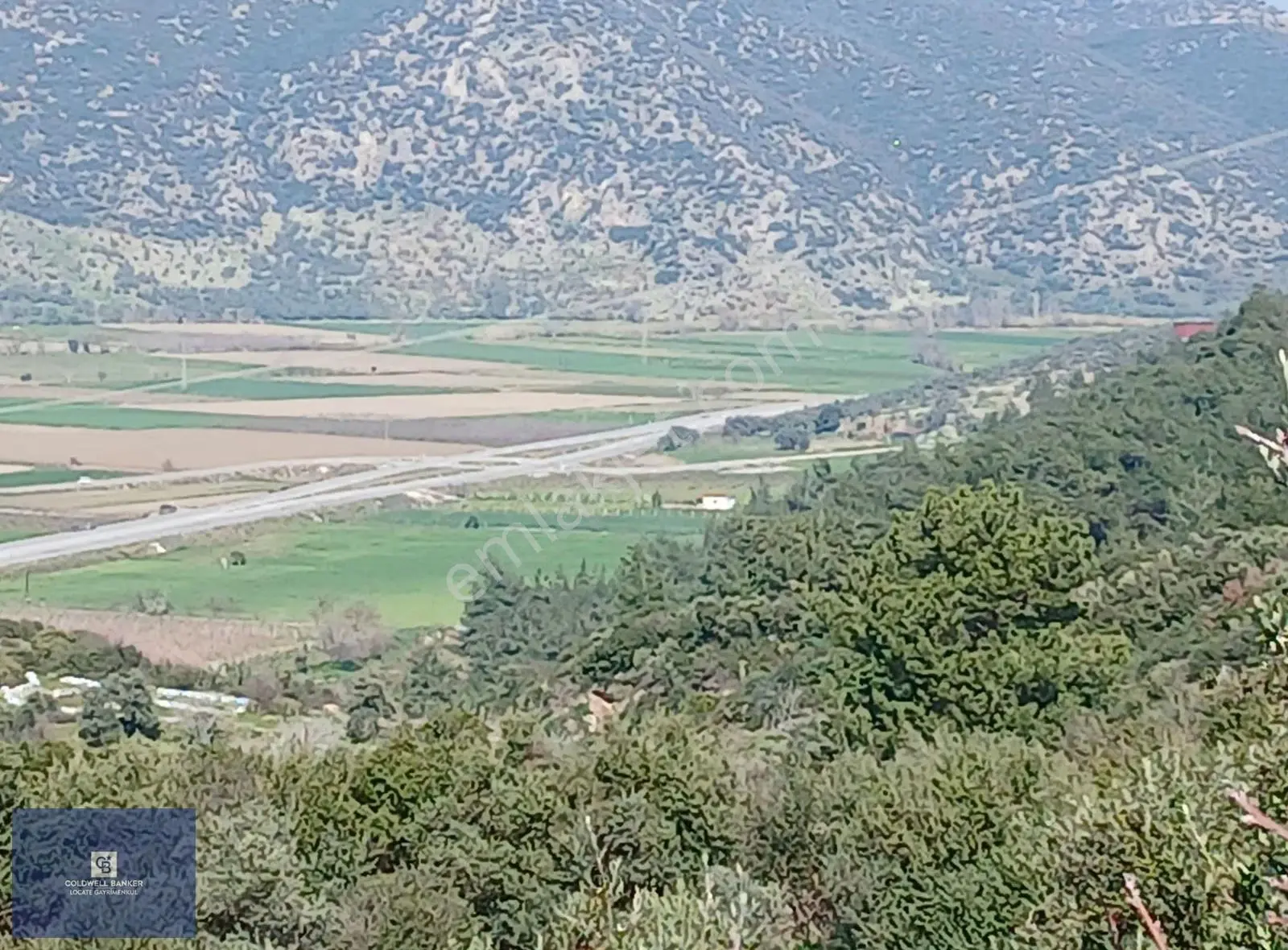 Tire Büyükkalede Eşsiz Manzaralı 44 Dönüm Zeytinlik Ve Yatırım - Görsel 4