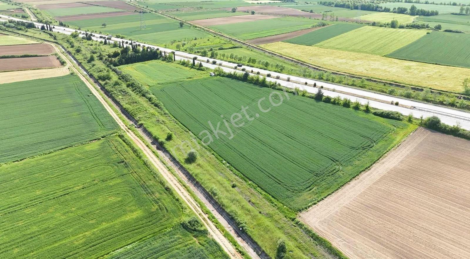 Güneş Emlaktan Otobana Sıfır Arsa - Görsel 6
