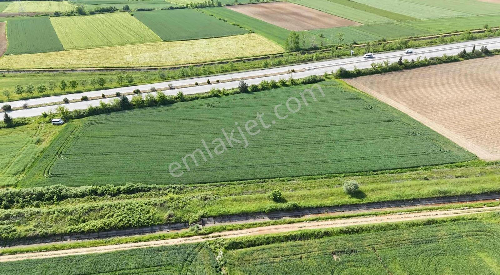 Güneş Emlaktan Otobana Sıfır 4850 M2 - Görsel 8