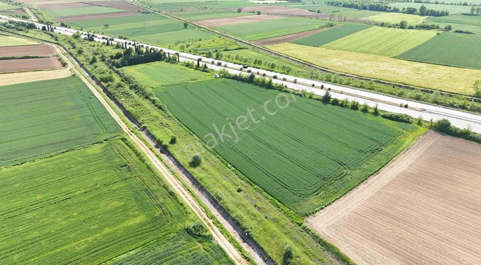 Güneş Emlaktan Otobana Sıfır 4850 M2 - Görsel 7