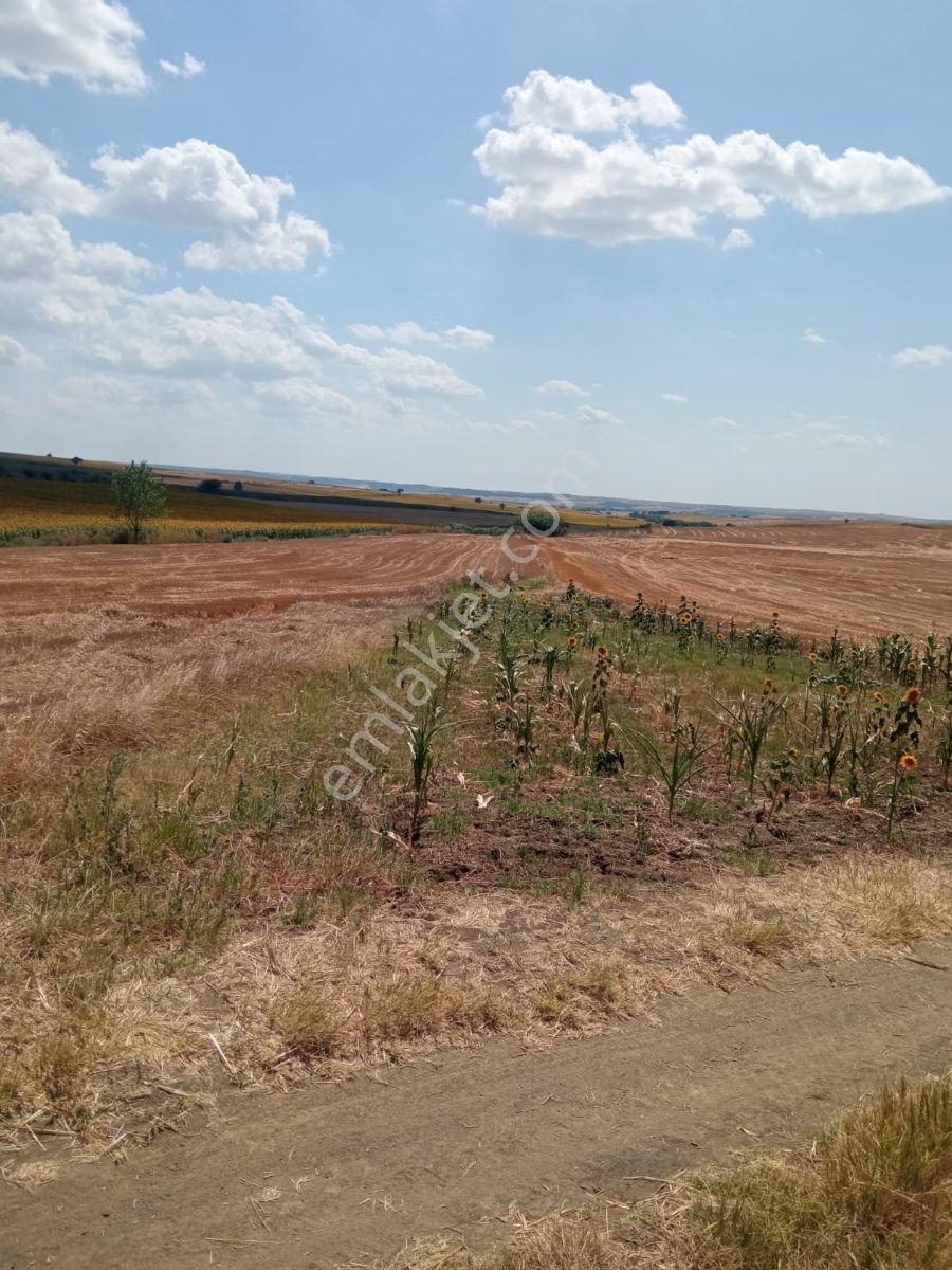 Tekirdağ Hayrabulu Küçükkarakarlı Satılık Mustakil 1852 M2 Arsa - Görsel 4