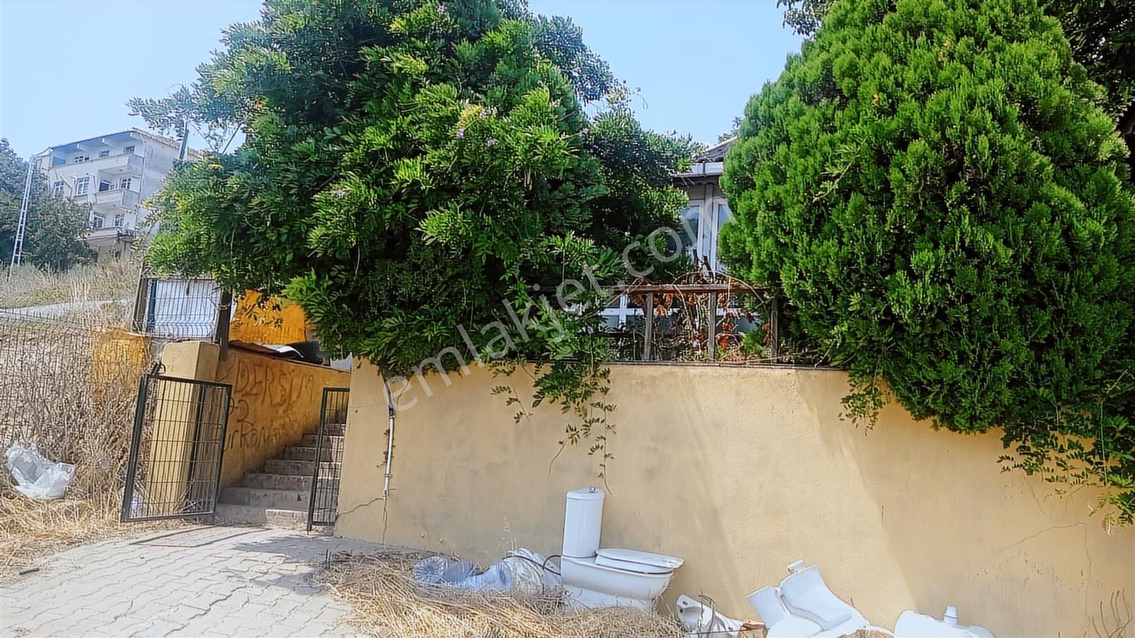 Türkoba Mh Kiralık 2000 M2 Arsa Ve 200 M2 Kapalı Alan - Görsel 14