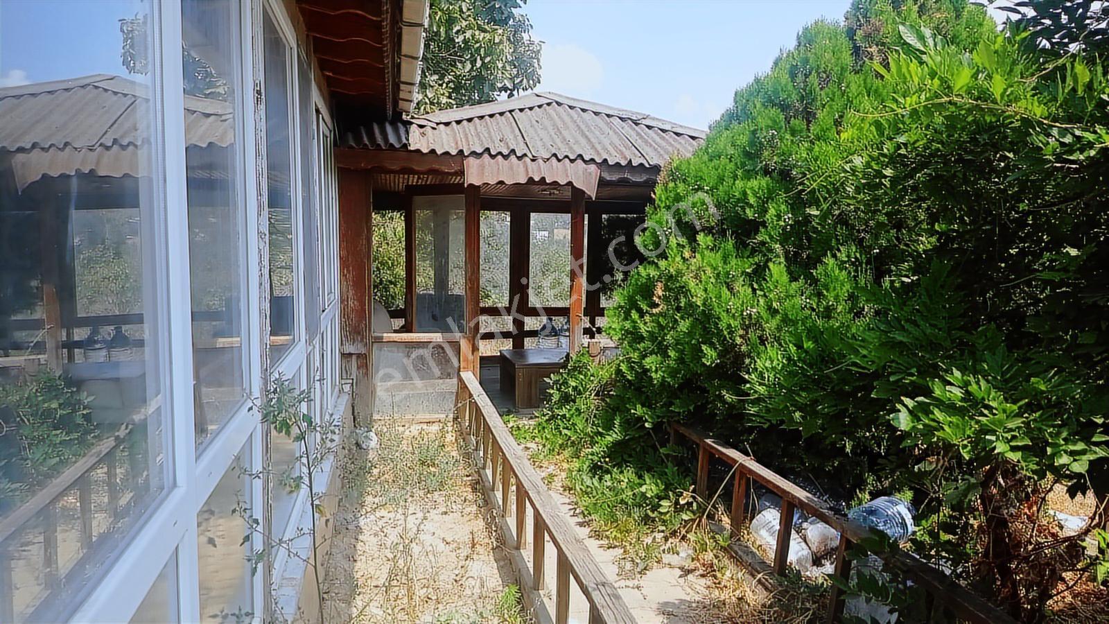 Türkoba Mh Kiralık 2000 M2 Arsa Ve 200 M2 Kapalı Alan - Görsel 6