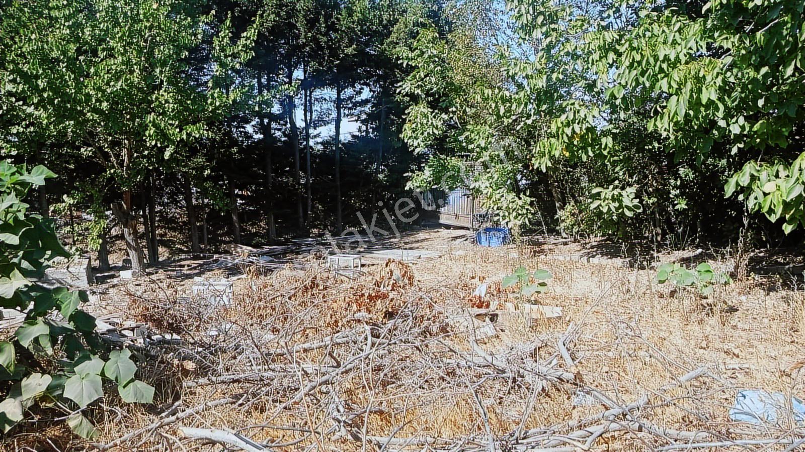 Bayhan Gayrimenkul'den Satılık 514 M2 Villa İmarlı Arsa - Görsel 25