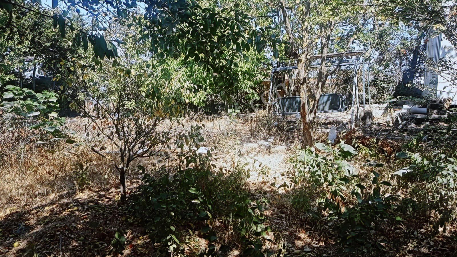 Bayhan Gayrimenkul'den Satılık 514 M2 Villa İmarlı Arsa - Görsel 19