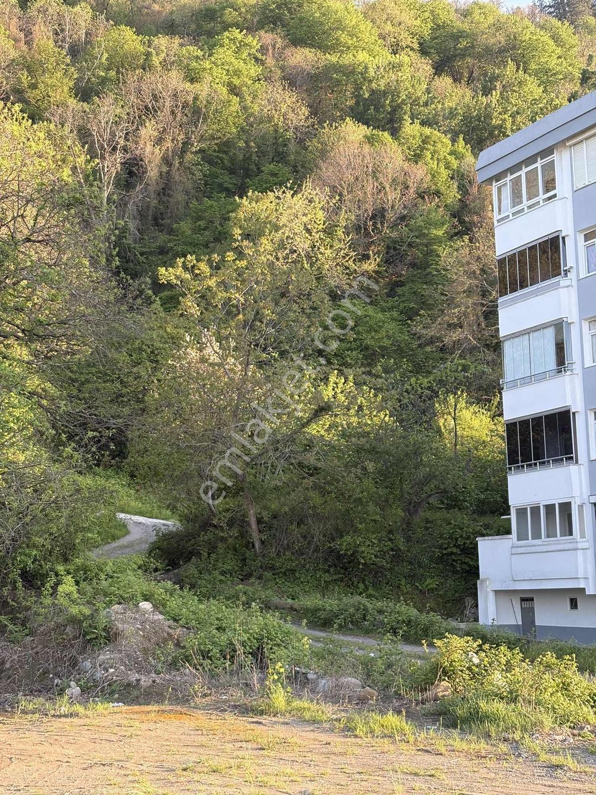 Abana'da Kot Farkıyla Full Deniz Manzaralı Satılık Villa Arsası - Görsel 24